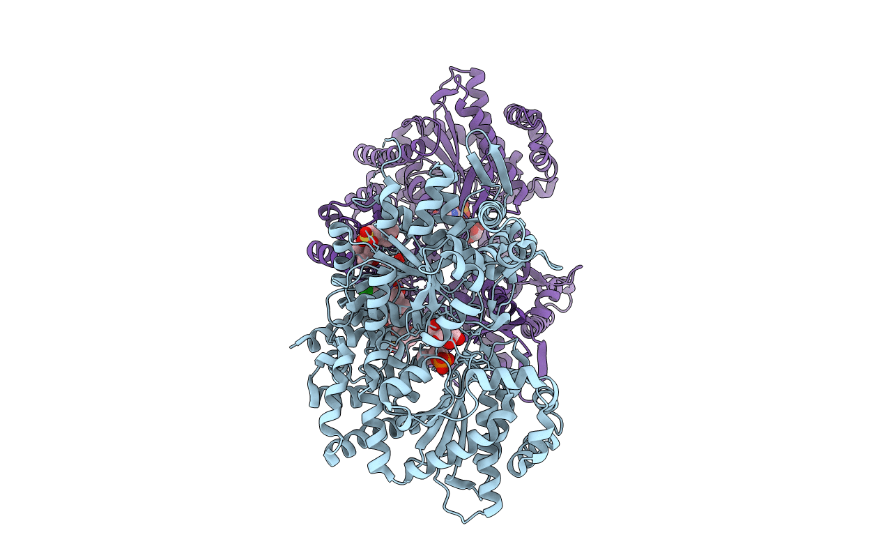 2ZB2 image