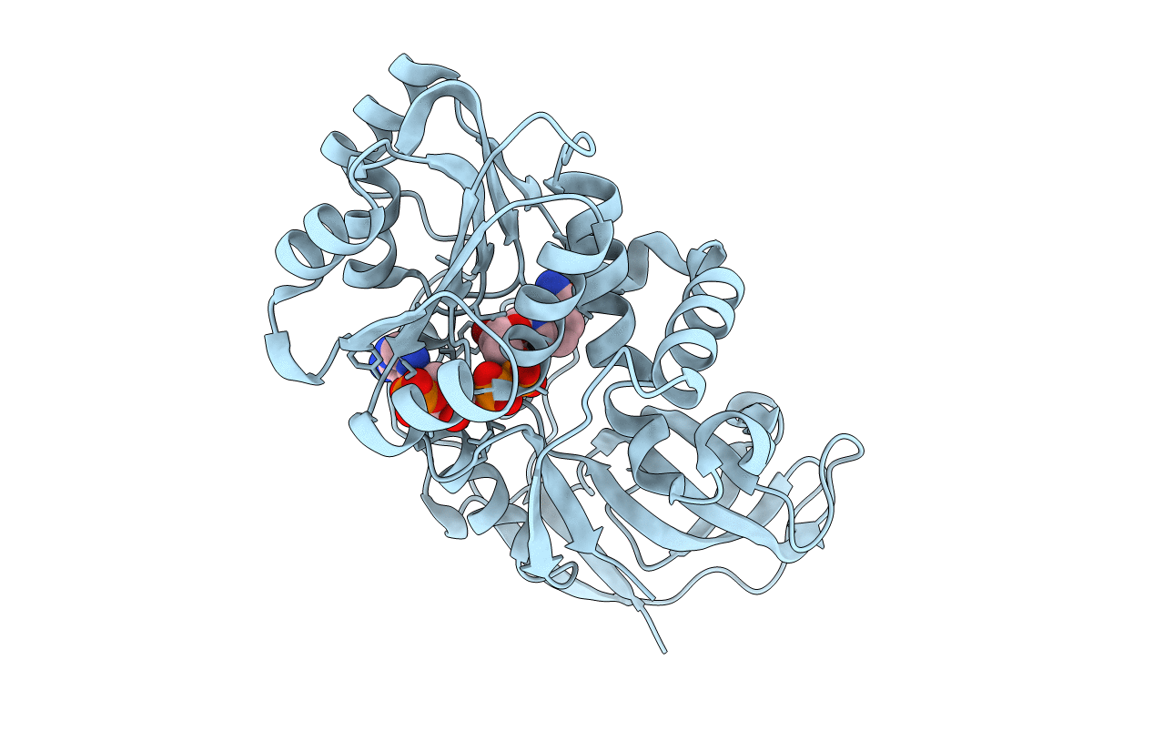 2ZB3 image