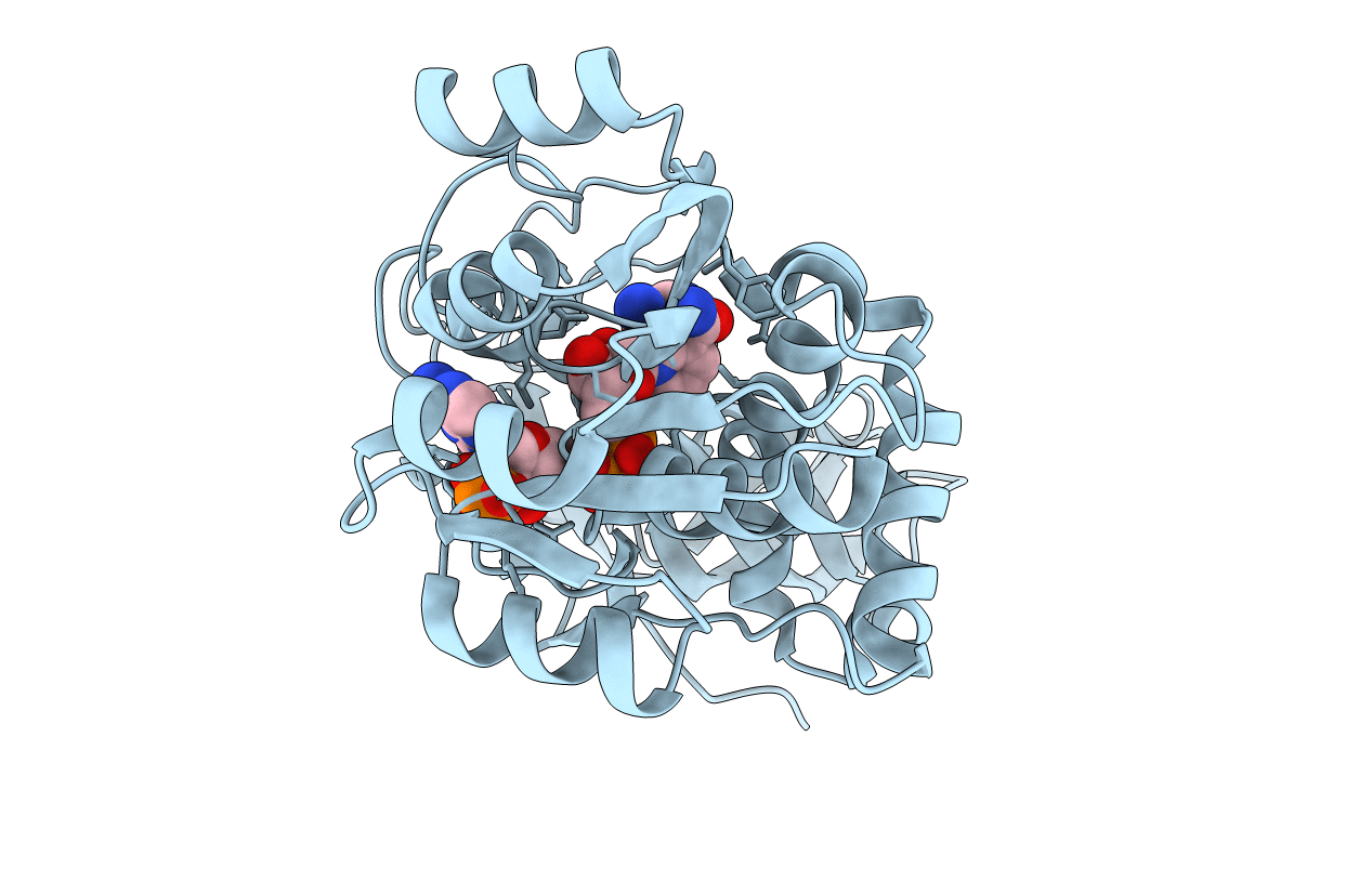 2ZB7 image