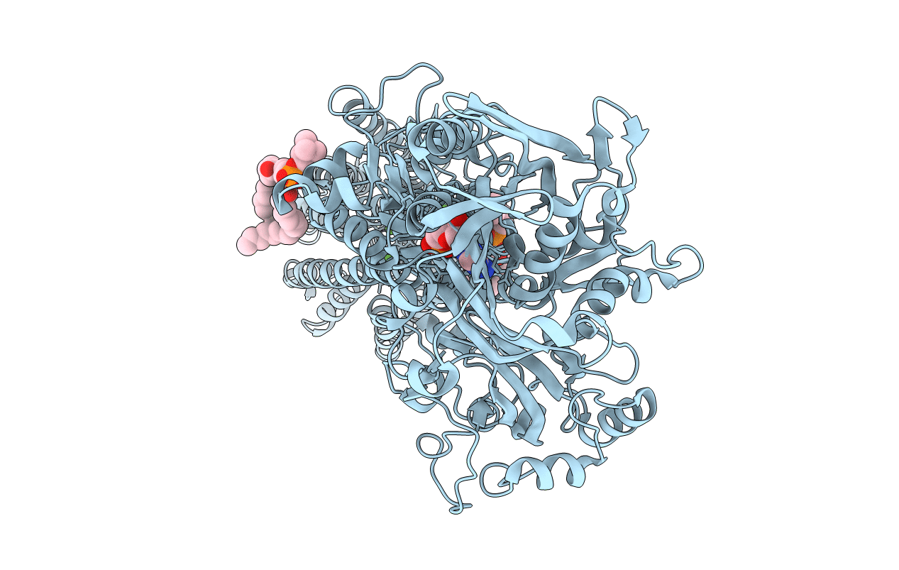 2ZBD image