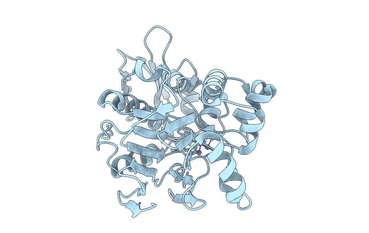 2ZBM image