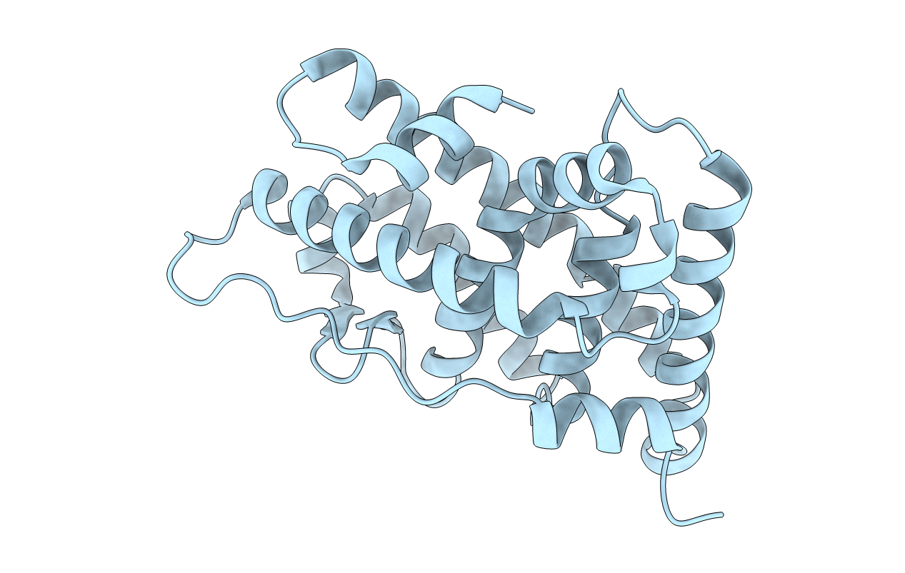 2zbs image