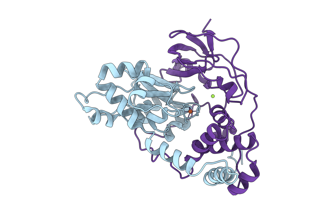 2ZCF image