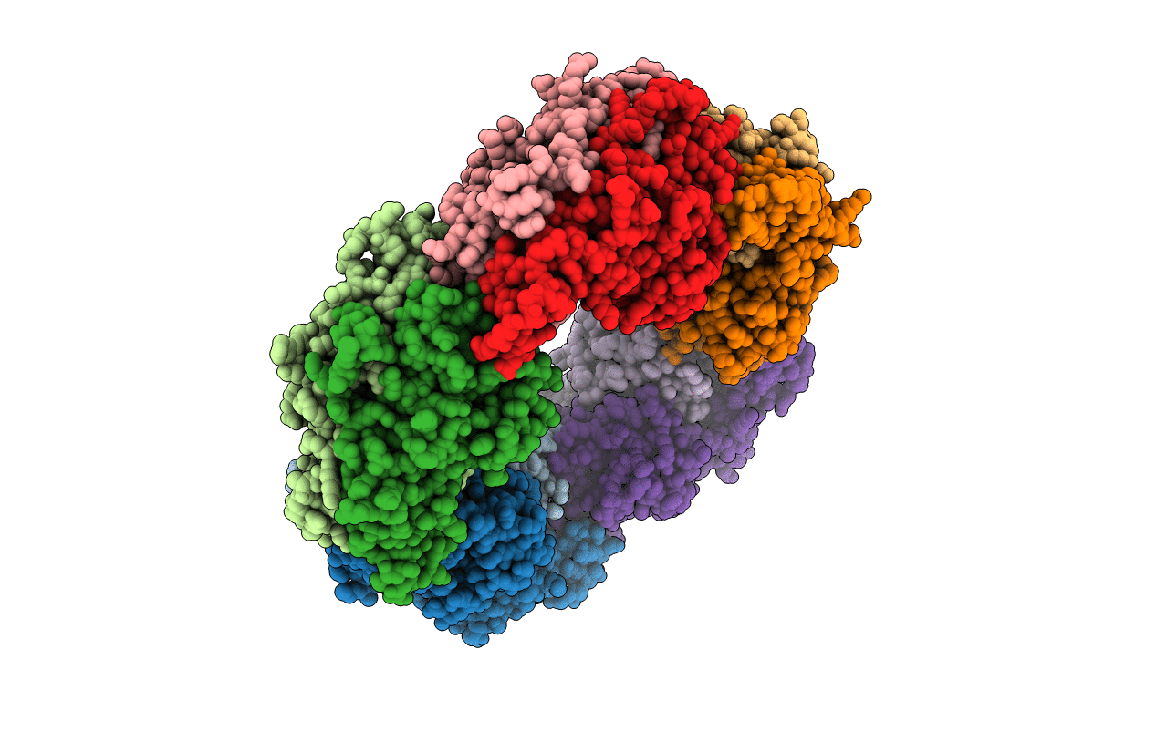 2ZCT image