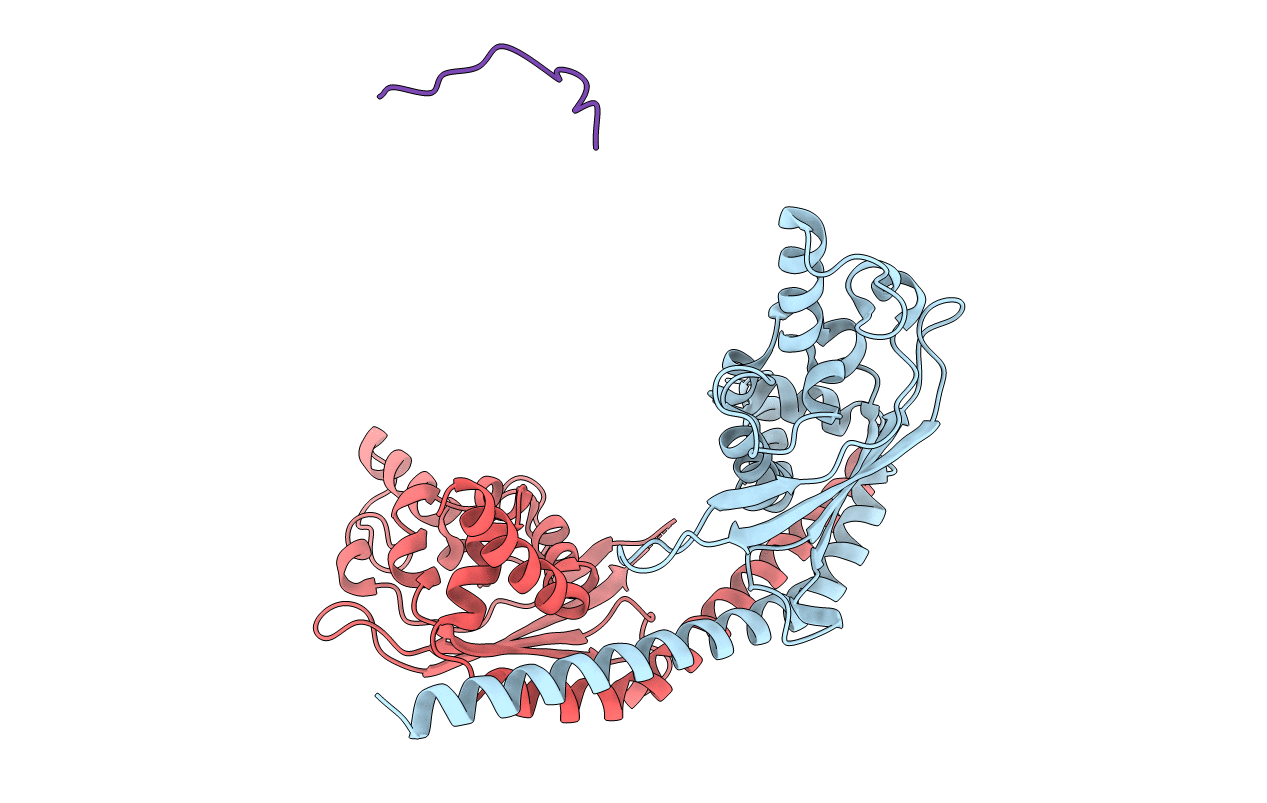 2ZD7 image