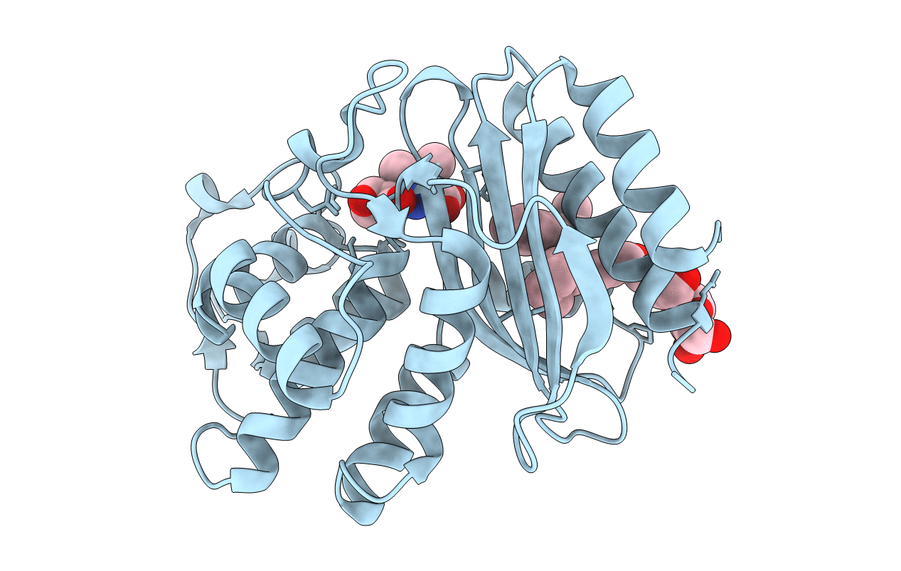 2ZD8 image