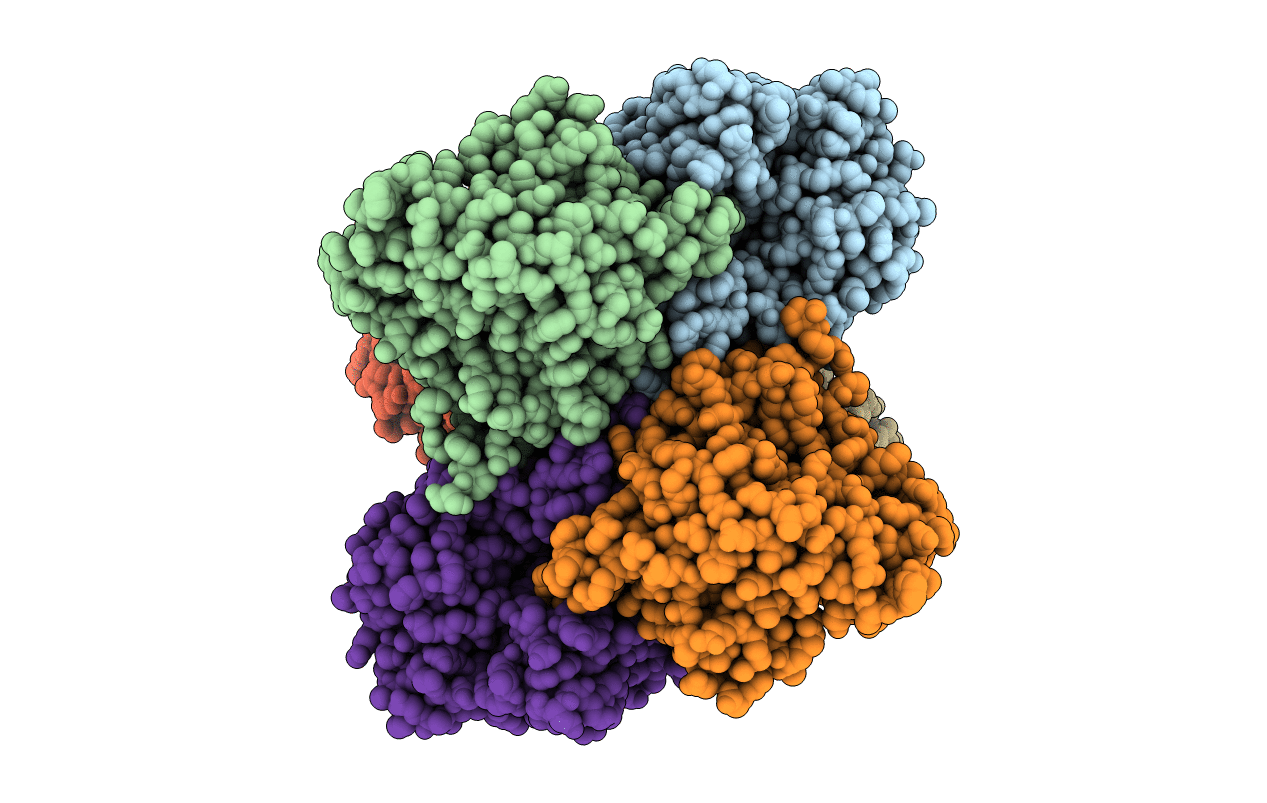 2ZDS image
