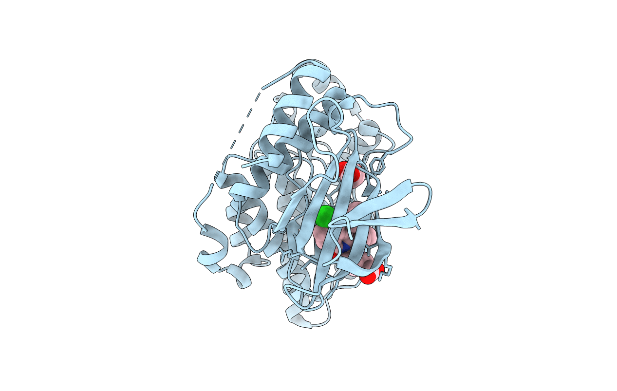 2ZDT image
