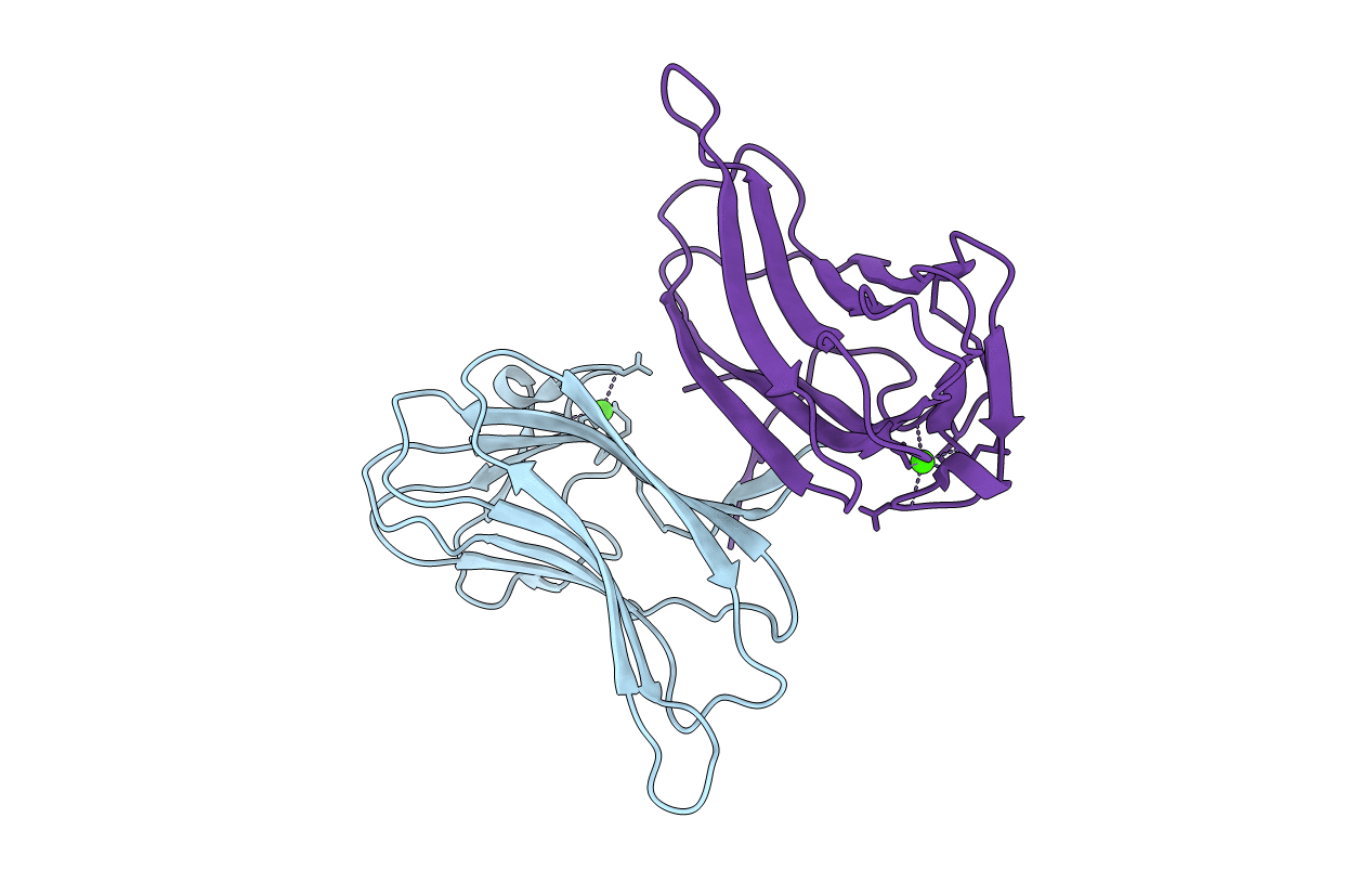 2ZEW image