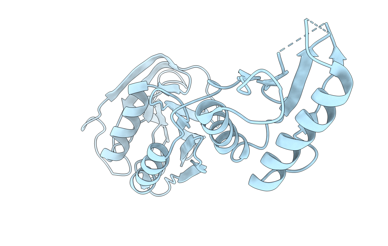 2ZF8 image