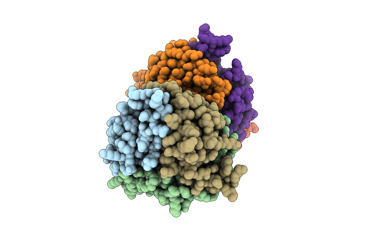2ZFH image