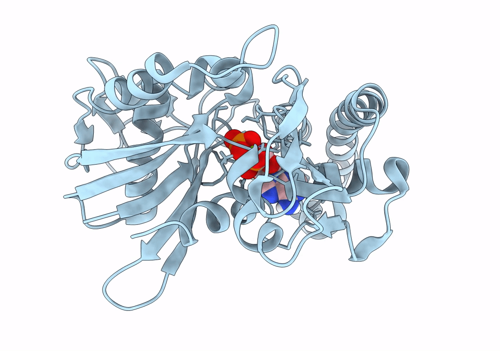 2ZHC image
