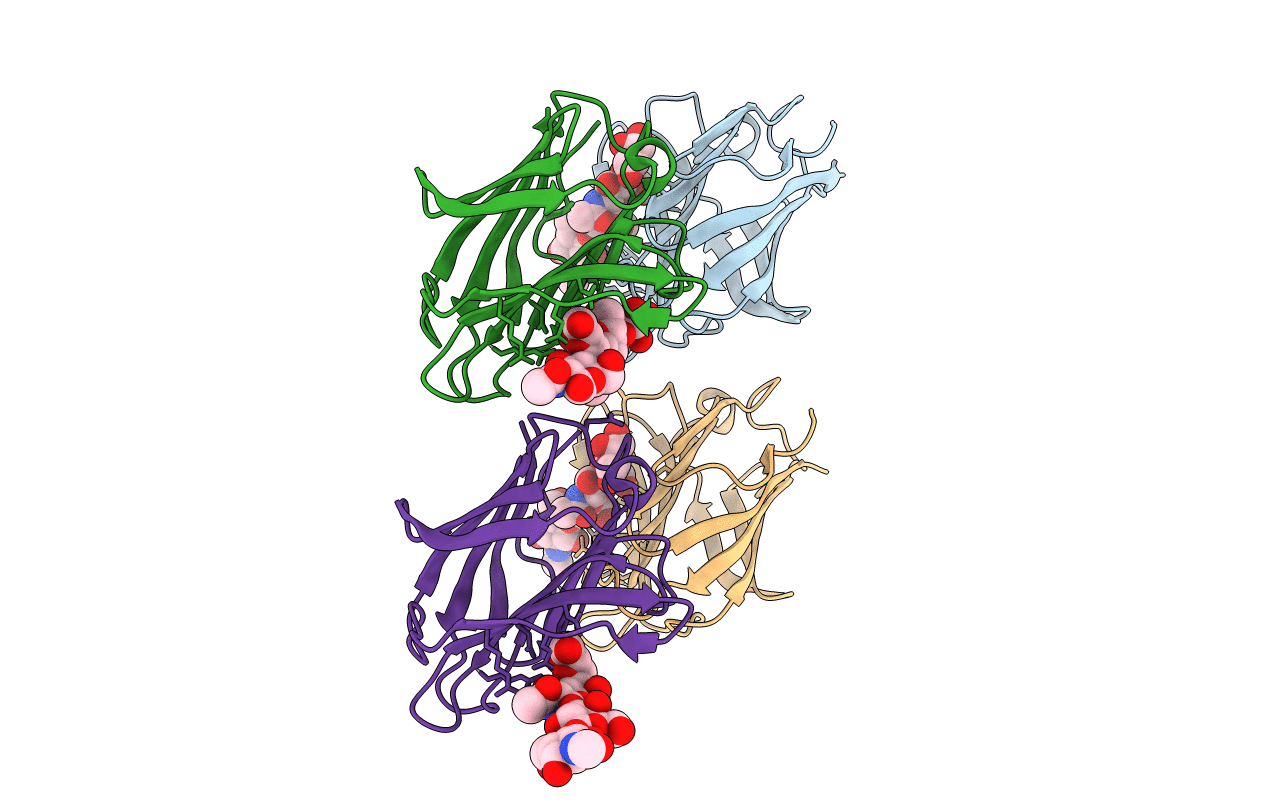 2ZHL image