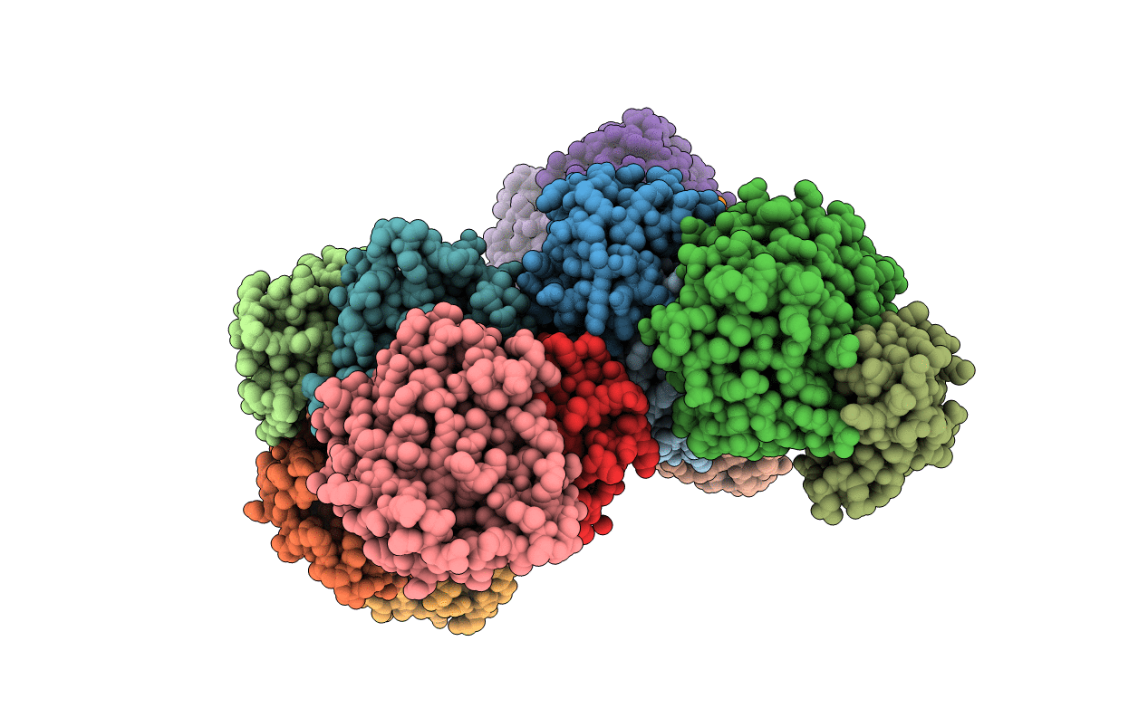 2ZHX image