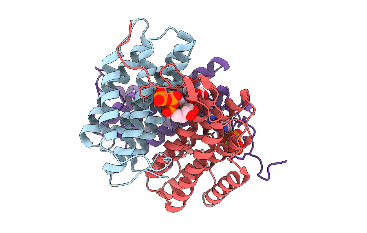 2ZHZ image