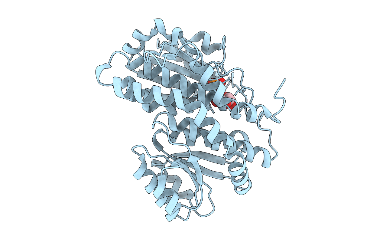 2ZJ3 image