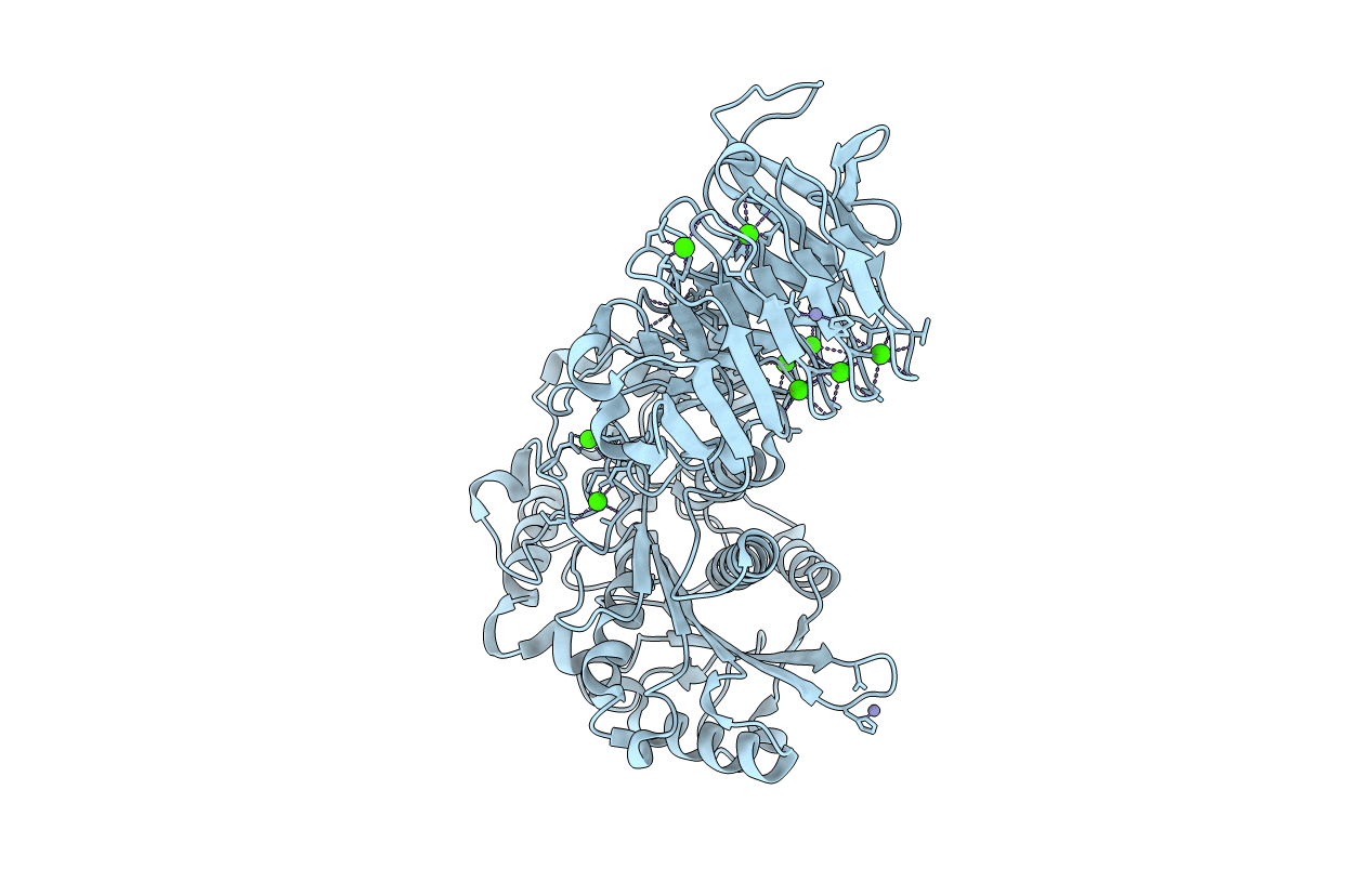 2ZJ7 image