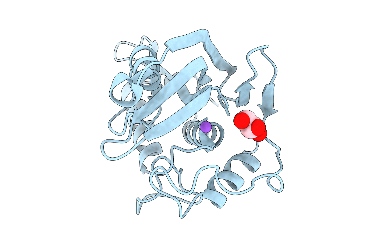 2ZK9 image