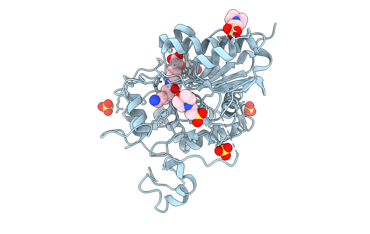 2ZM9 image