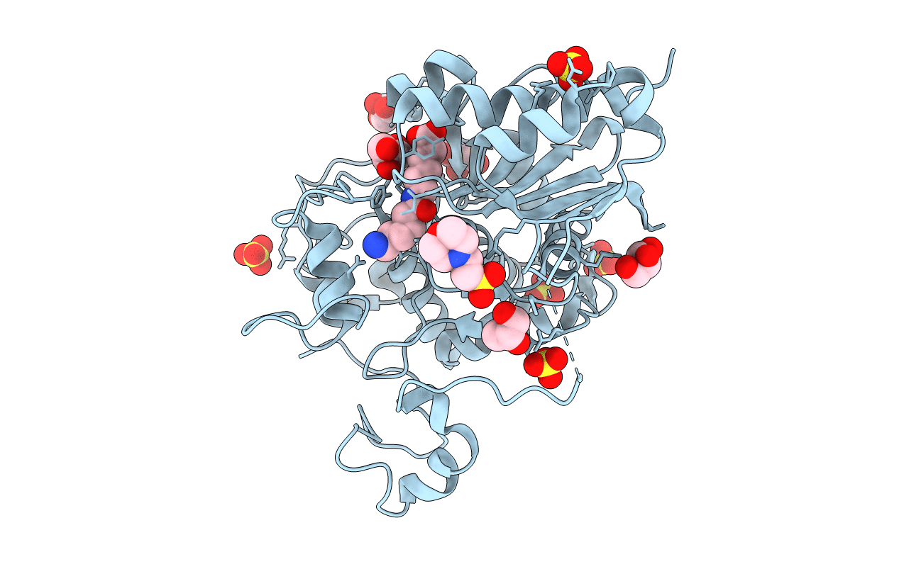 2ZMA image