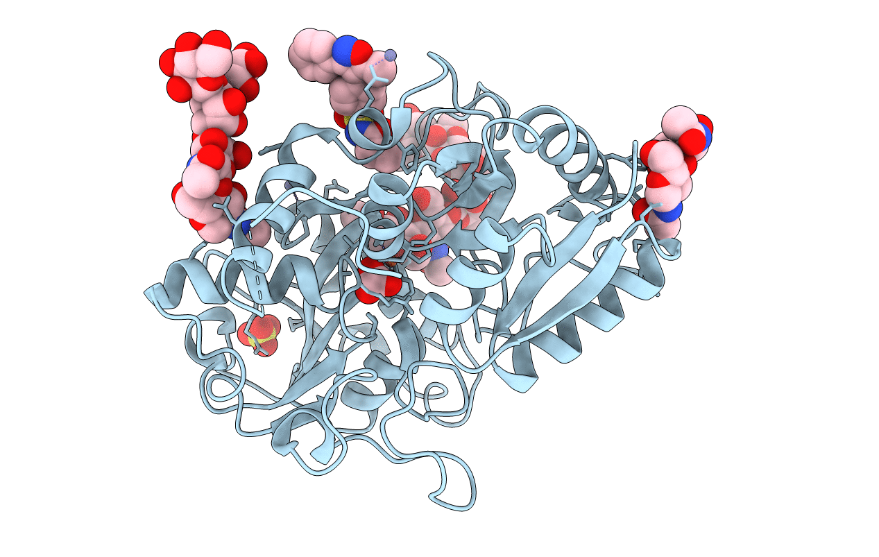 2ZMB image