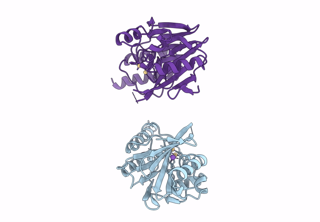 2ZNB image