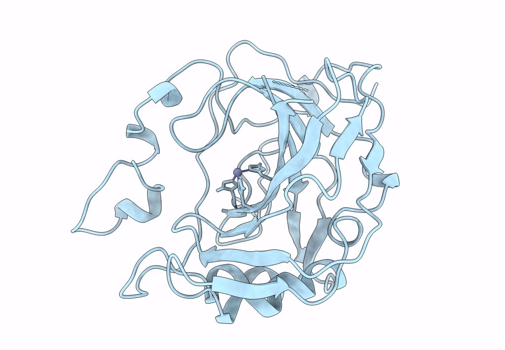 2ZNC image