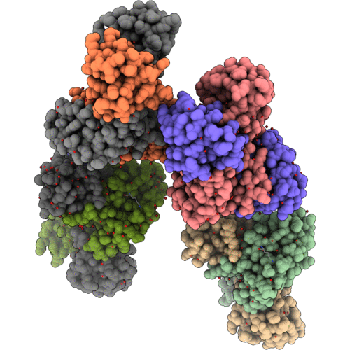 2ZNZ image