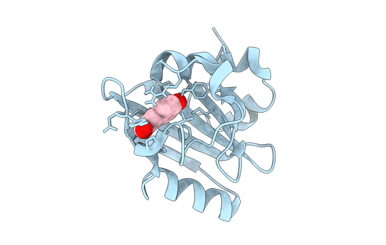 2ZOI image