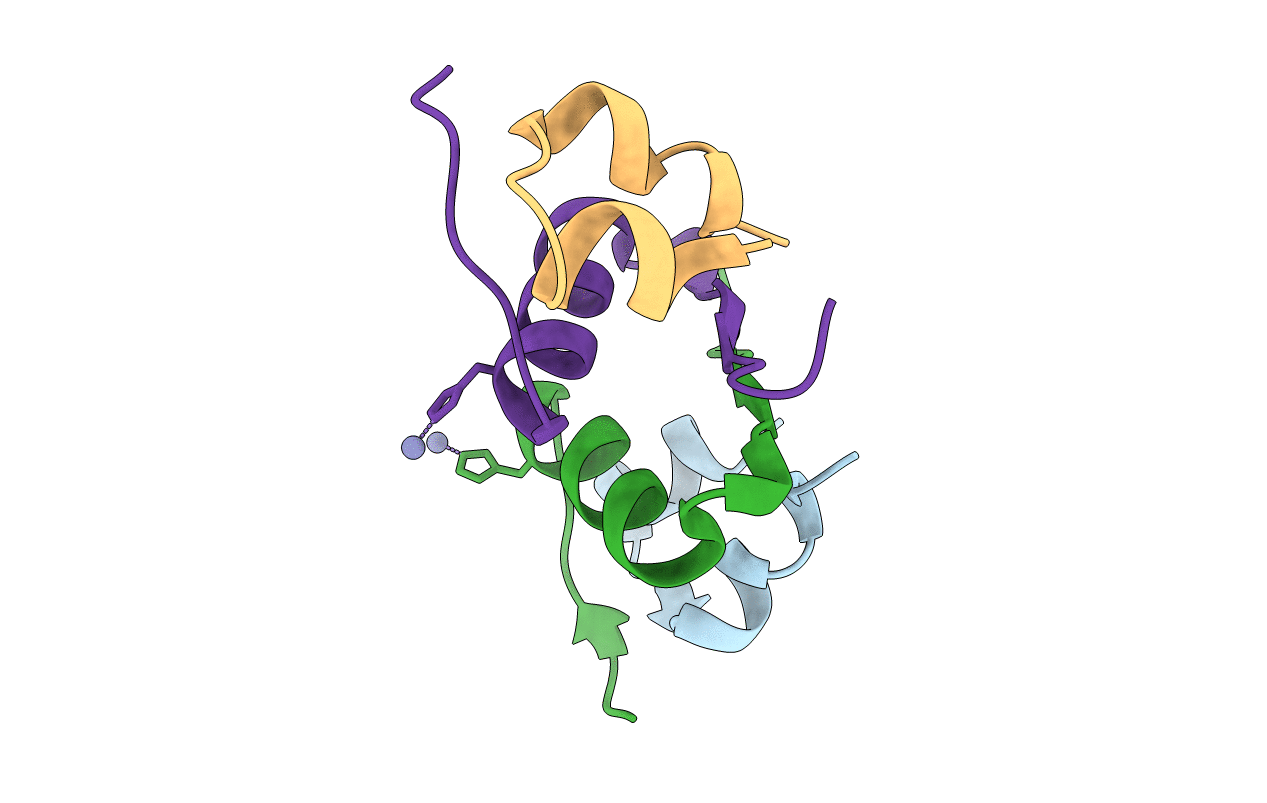 2ZP6 image