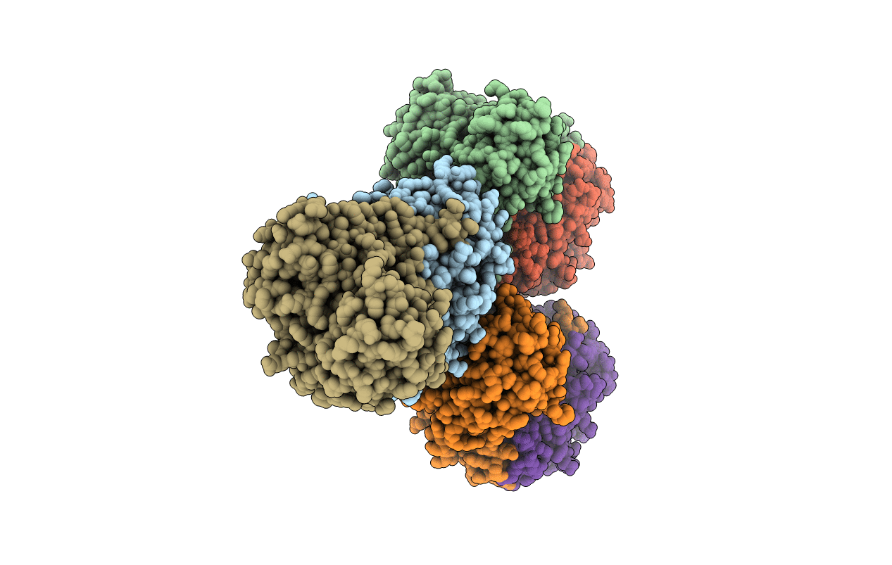 2ZP7 image
