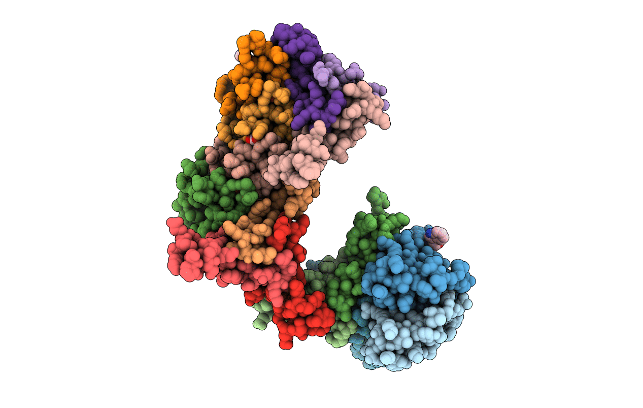 2ZP9 image