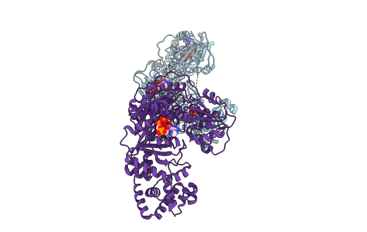 2ZPA image
