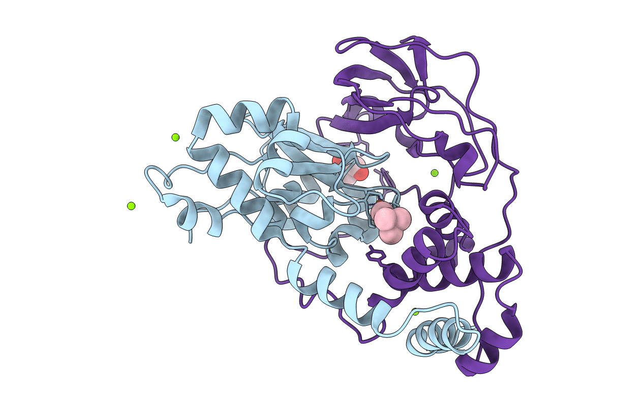 2ZPI image