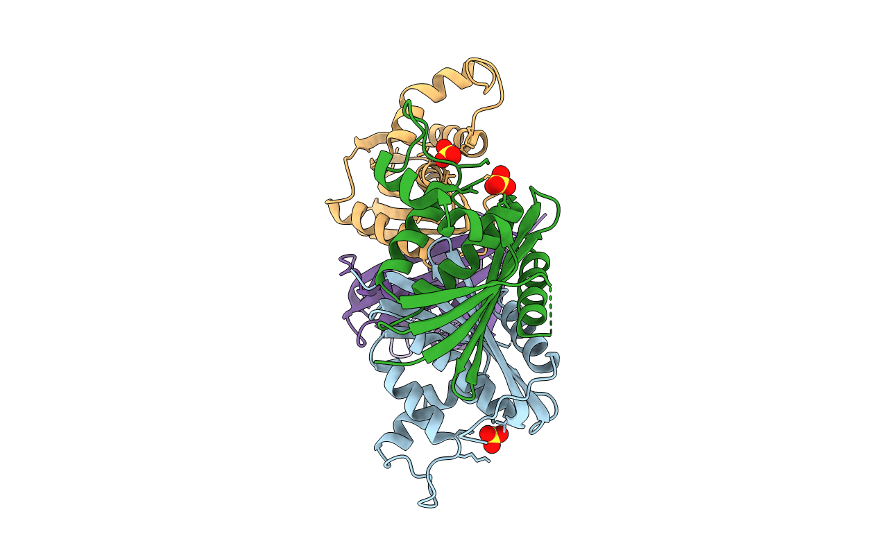 2ZQB image