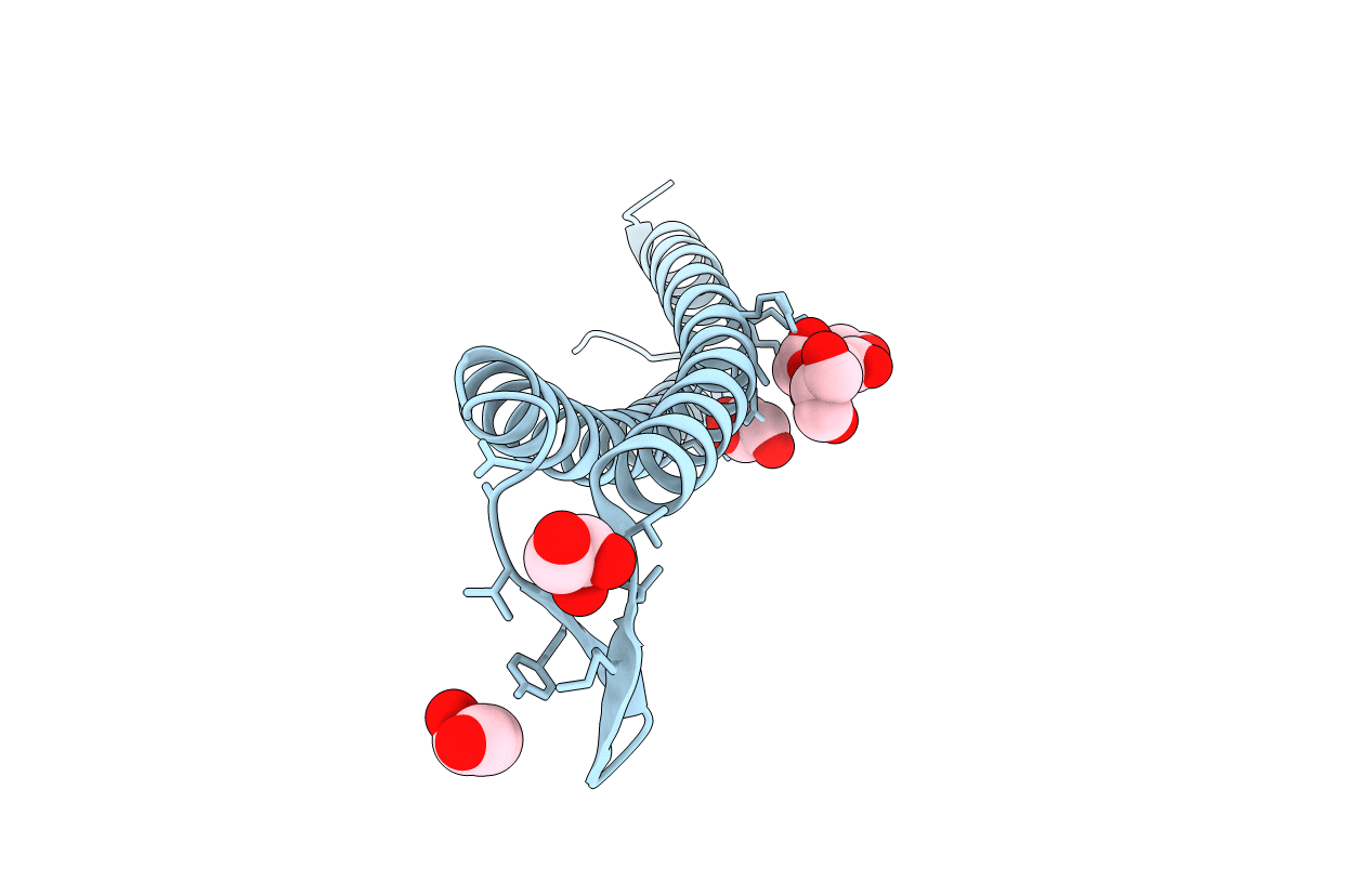 2ZQM image