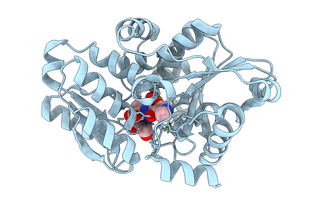 2ZR8 image