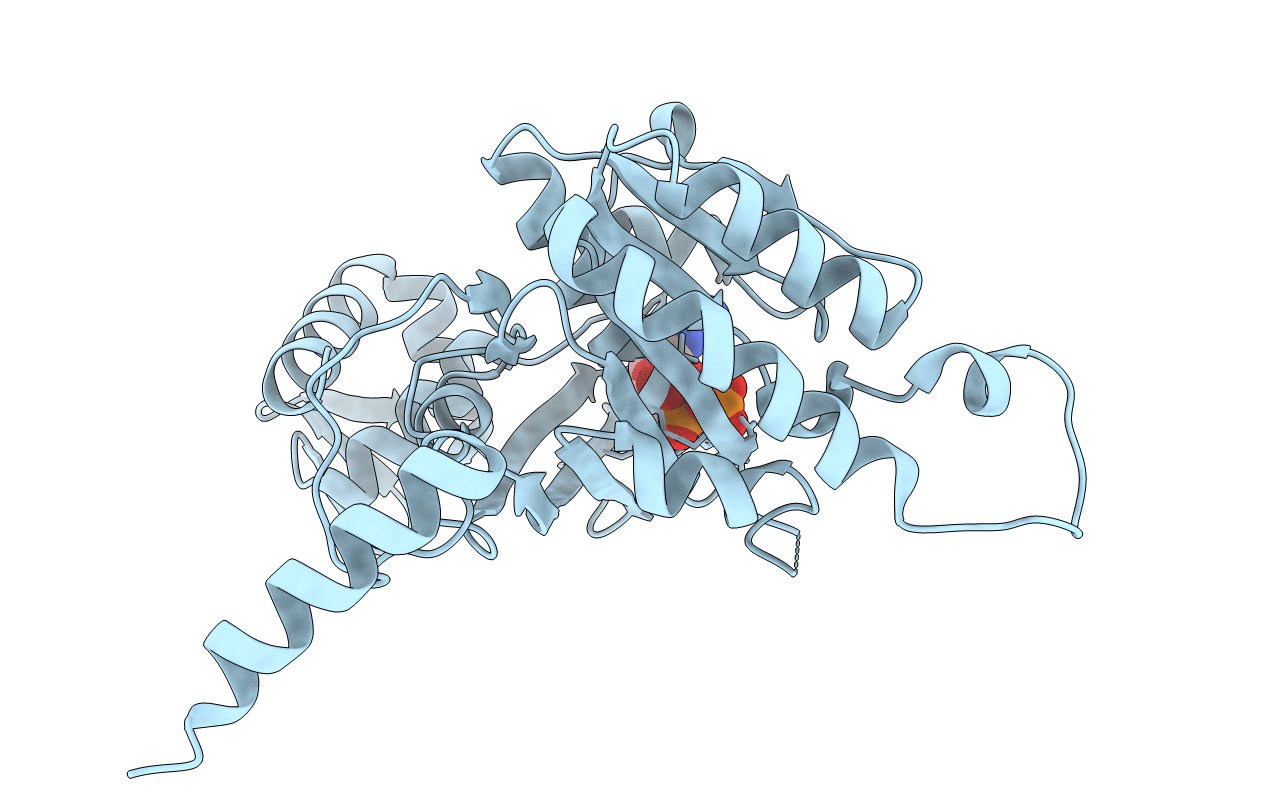2ZRF image
