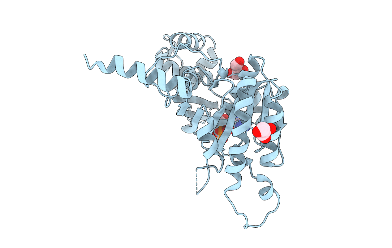 2ZRI image
