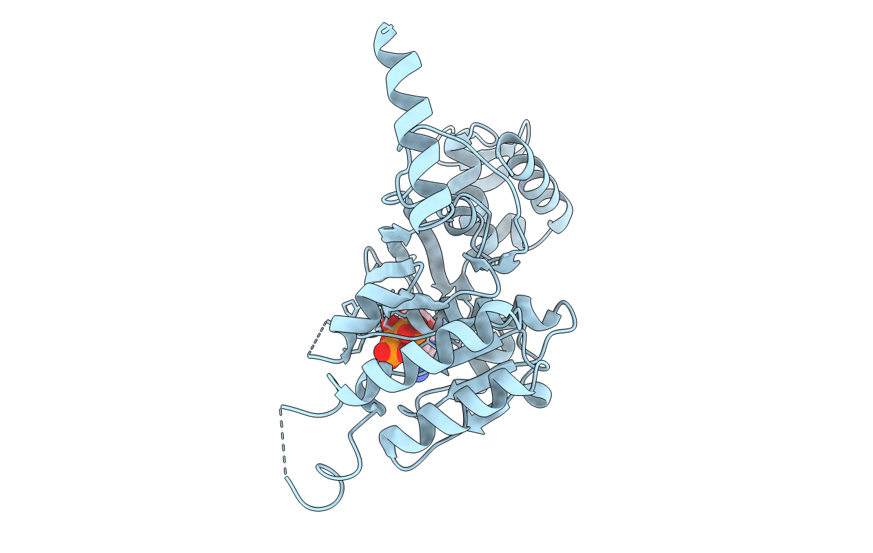 2ZRL image