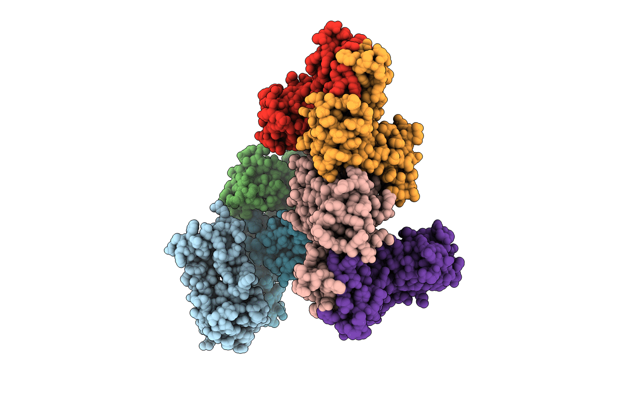 2ZRS image