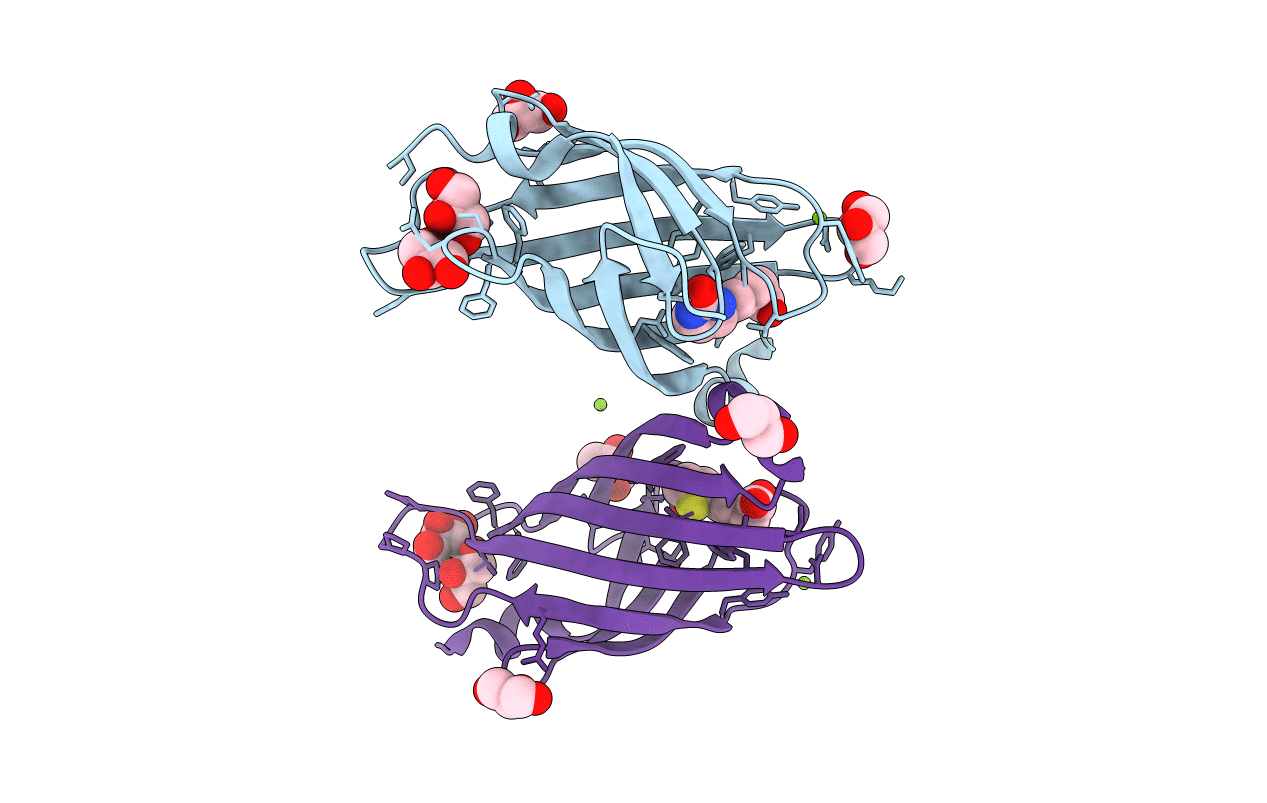 2ZSC image