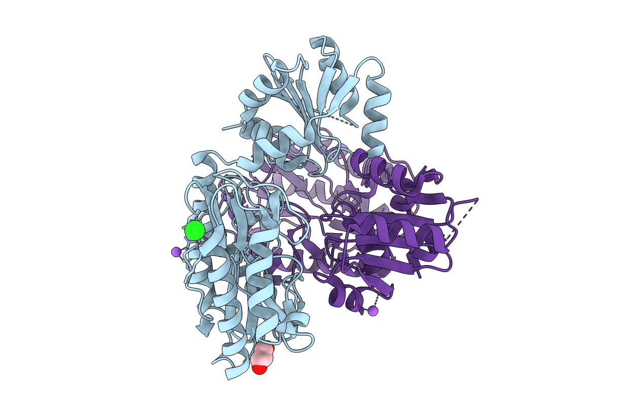 2ZSG image