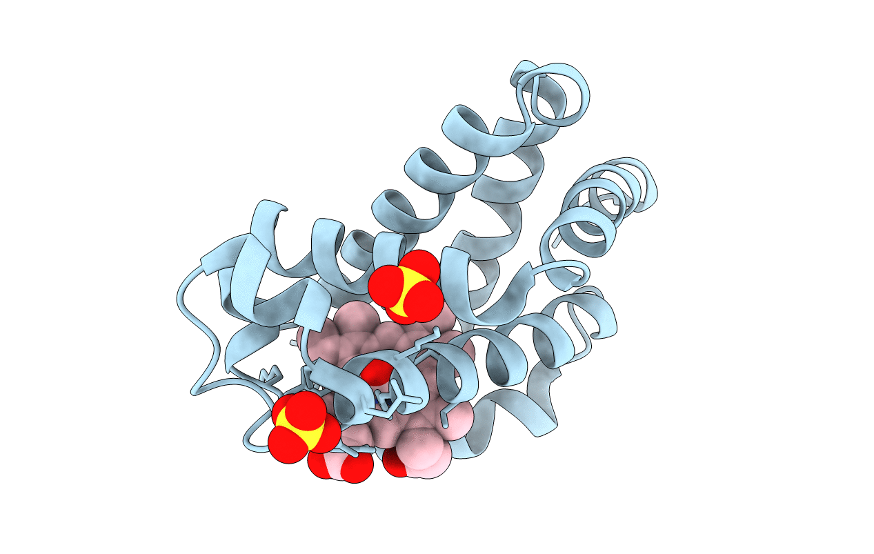 2ZSS image