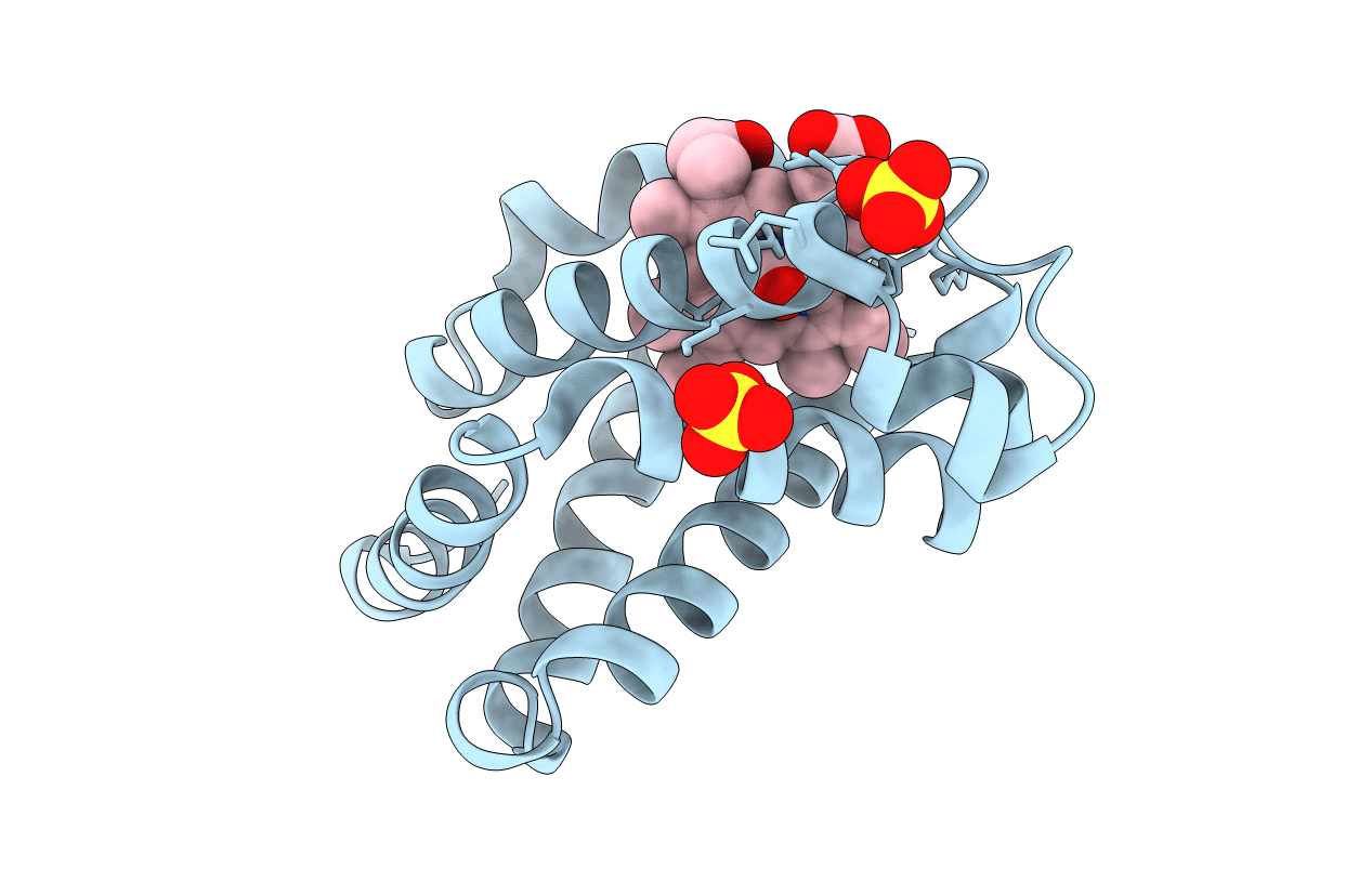 2ZT3 image