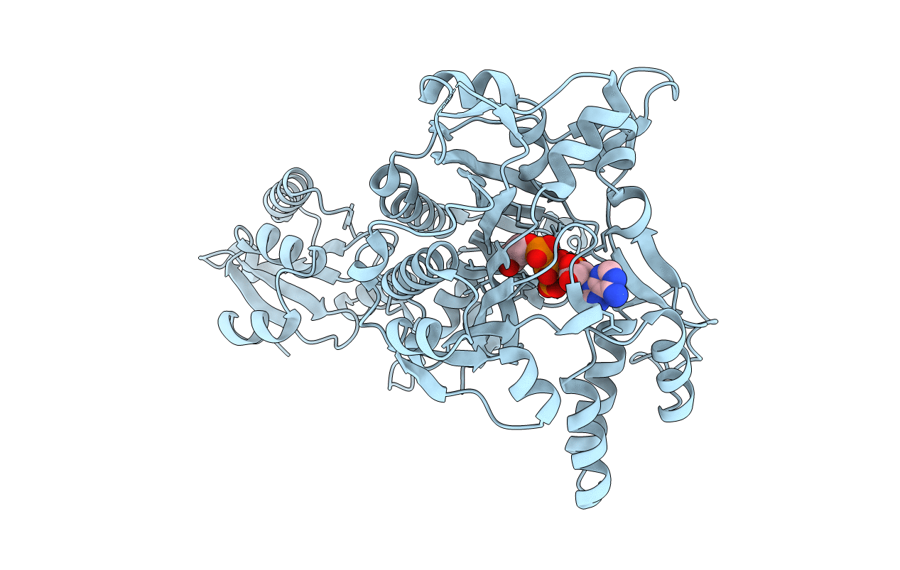 2ZT5 image