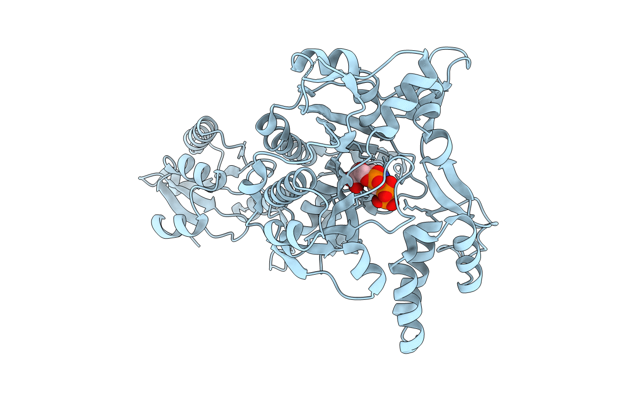 2ZT6 image