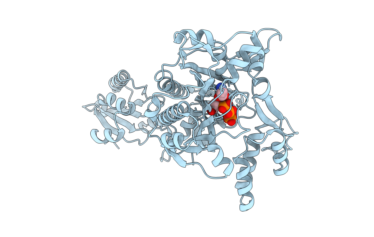 2ZT7 image