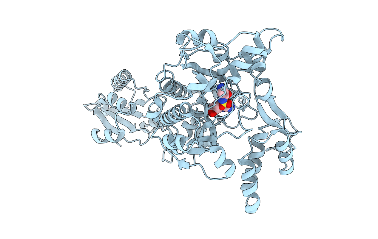 2ZT8 image