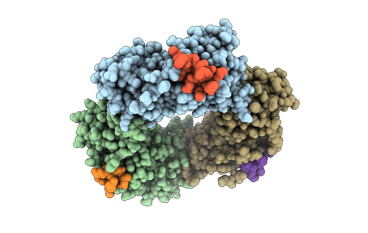 2ZVM image
